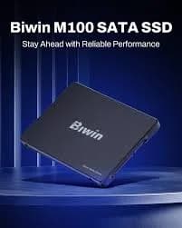 SSD M100 256 GB