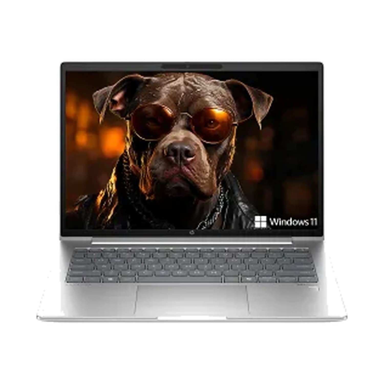 ProBook 440 G11 (Ultra 7)